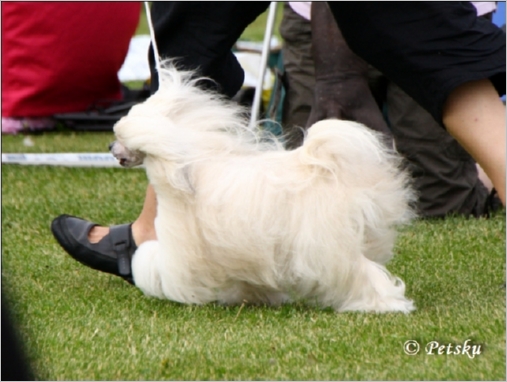 Chattanoogas Club_Princess_6